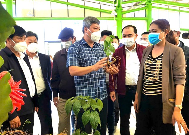 M&ocirc; phỏng &yacute; tưởng C&ocirc;ng vi&ecirc;n S&acirc;m Việt Nam tại Nam Tr&agrave; My &ndash; kh&ocirc;ng gian trưng b&agrave;y, trải nghiệm v&agrave; giới thiệu h&agrave;nh tr&igrave;nh ph&aacute;t triển s&acirc;m Ngọc Linh, từ nguồn gốc đến gi&aacute; trị dược liệu v&agrave; bản sắc văn h&oacute;a địa phương.