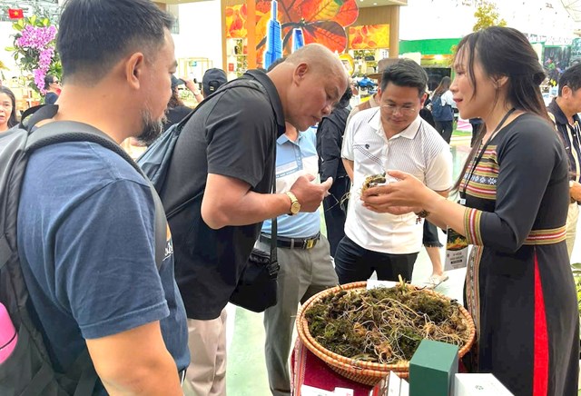 Du kh&aacute;ch t&igrave;m hiểu, mua s&acirc;m Ngọc Linh tại Hội chợ s&acirc;m h&agrave;ng th&aacute;ng do x&atilde; Nam Tr&agrave; My tổ chức.