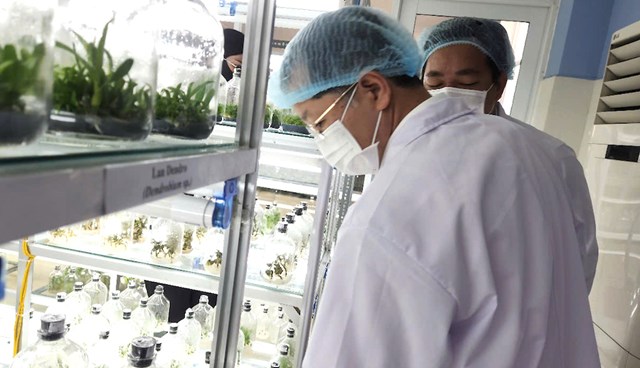 Trong định hướng ph&aacute;t triển đến năm 2030, Trung t&acirc;m C&ocirc;ng nghệ sinh học Đ&agrave; Nẵng đặt mục ti&ecirc;u trở th&agrave;nh đầu mối nghi&ecirc;n cứu, ph&aacute;t triển v&agrave; chuyển giao c&ocirc;ng nghệ sinh học của khu vực miền Trung.