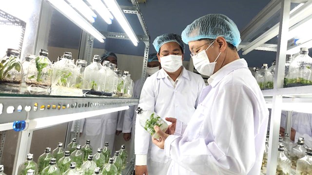 Trung t&acirc;m C&ocirc;ng nghệ sinh học Đ&agrave; Nẵng đầu tư ph&aacute;t triển&nbsp;tương đối đồng bộ hệ thống ph&ograve;ng th&iacute; nghiệm chuy&ecirc;n ng&agrave;nh, nh&agrave; k&iacute;nh v&agrave; khu sản xuất thử nghiệm.