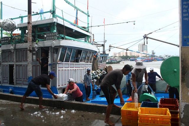 Kinh nghiệm từ c&aacute;c tổ hợp t&aacute;c &ldquo;Tiến l&ecirc;n&rdquo; tại Sơn Tr&agrave; (Đ&agrave; Nẵng) cho thấy, sức mạnh cộng đồng khi được tổ chức chặt chẽ lu&ocirc;n tạo n&ecirc;n hiệu quả vượt trội.