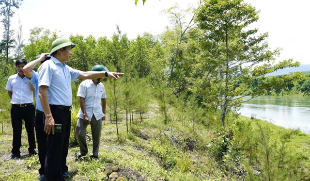 L&atilde;nh đạo phường Ph&uacute; B&agrave;i khảo s&aacute;t thực địa kiến nghị của người d&acirc;n sau buổi tiếp d&acirc;n tại Dương H&ograve;a