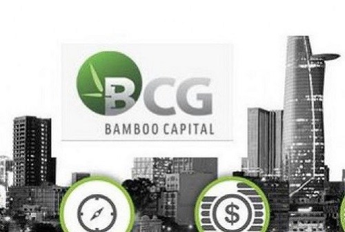 Bamboo Capital b&#225;o l&#227;i qu&#253; IV đạt 271 tỷ đồng, tăng 54% - Ảnh 1