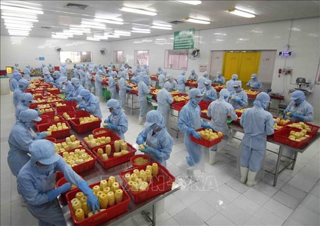 Lũy kế 5 th&#225;ng đầu năm, xuất khẩu n&#244;ng l&#226;m thủy sản ước đạt 23 tỷ USD - Ảnh 1
