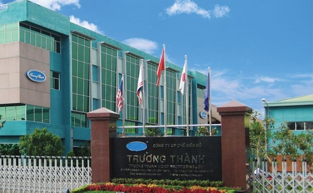 Gỗ Trường Th&#224;nh (TTF) giải tr&#236;nh lợi nhuận sụt giảm 89% - Ảnh 1