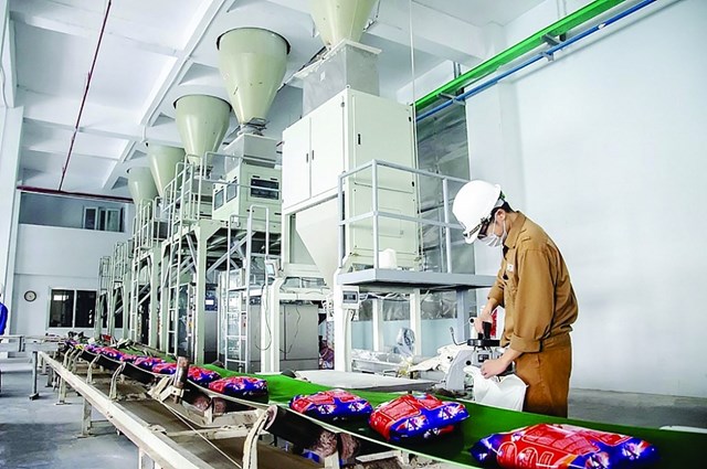 Bột giặt NET chia cổ tức 2020 bằng tiền mặt với tỷ lệ 60% - Ảnh 1