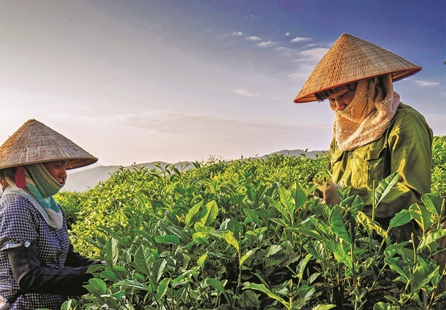 Sức ti&ecirc;u d&ugrave;ng của c&aacute;c tầng lớp người d&acirc;n đ&atilde; kh&ocirc;ng bị ảnh hưởng qu&aacute; nhiều bởi dịch Covid-19, nhưng do gi&atilde;n c&aacute;ch x&atilde; hội n&ecirc;n khả năng tiếp cận sản phẩm đang l&agrave; b&agrave;i to&aacute;n được đặt ra với c&aacute;c doanh nghiệp