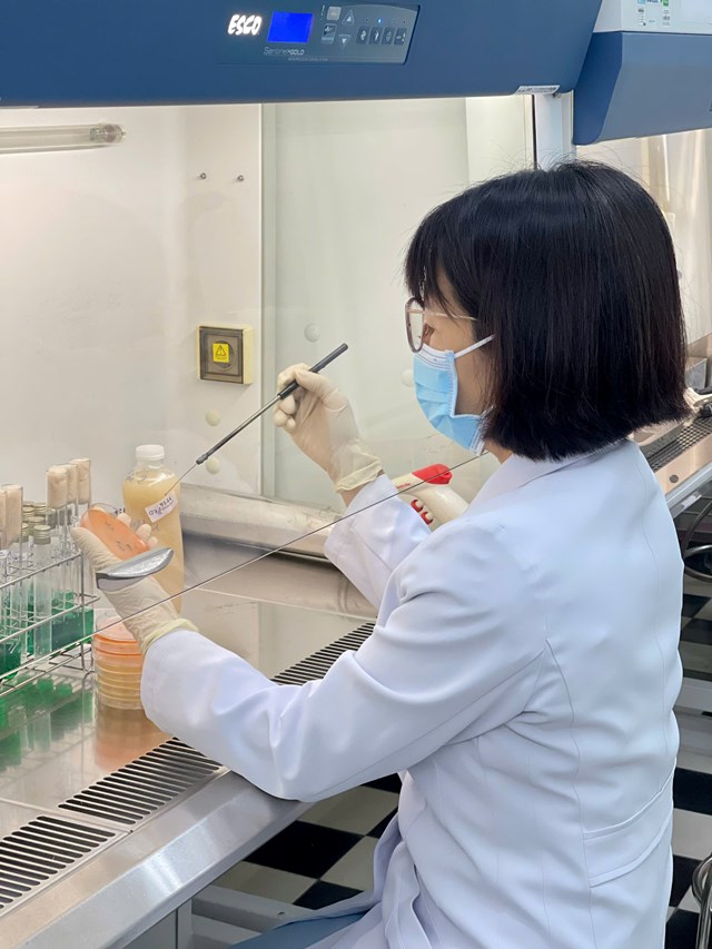 Viện Pasteur TP.HCM: Kiến tạo hệ thống y tế dự ph&#242;ng vững bền, chủ động th&#237;ch ứng với th&#225;ch thức biến đổi kh&#237; hậu - Ảnh 2