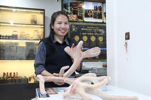 Doanh nh&acirc;n Phạm Thị Trầm - Chủ cơ sở Nhung hươu Trầm Nh&acirc;n Hương Sơn