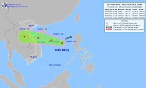 &#193;p thấp nhiệt đới tiến v&#224;o Thanh H&#243;a – Huế, Bắc Bộ v&#224; Trung Bộ mưa lớn - Ảnh 1