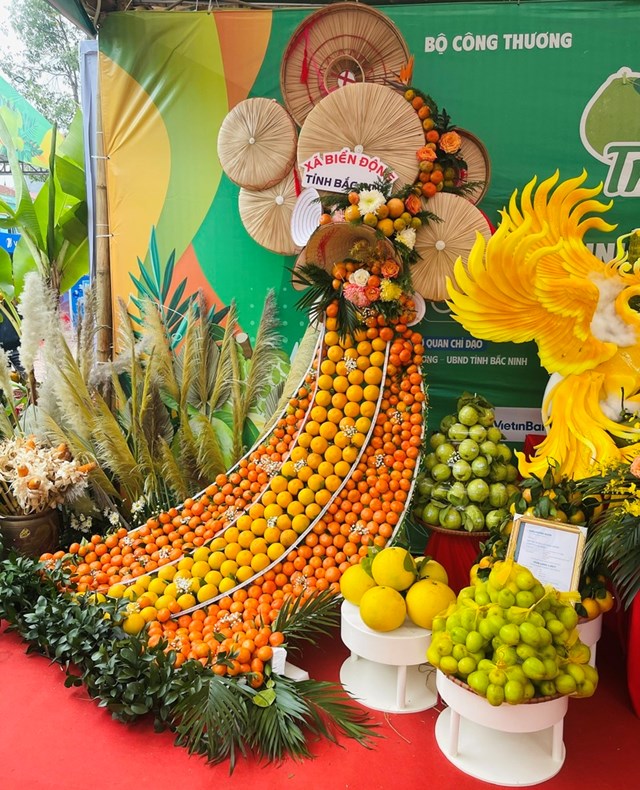 Bắc Ninh rộn r&#224;ng m&#249;a thu hoạch cam, bưởi v&#224; Lễ hội tr&#225;i c&#226;y 2025 - Ảnh 2