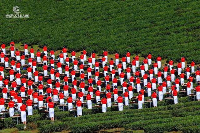 World T.E.A Fest 2025: Kết nối tinh hoa Trà của nhân loại tại Đà Lạt - Ảnh 1