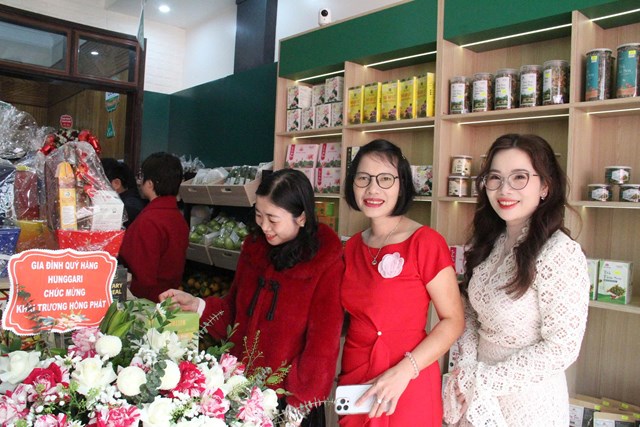 Ra mắt Trung tâm giới thiệu sản phẩm OCOP vùng miền tại Hà Tĩnh - Ảnh 2