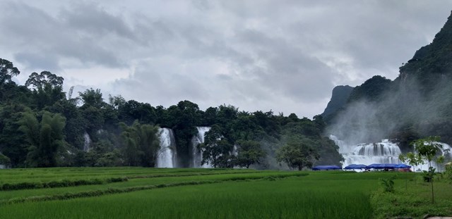 C&aacute;nh đồng l&uacute;a xanh mướt ẩn hiện trong l&agrave;n hơi nước d&agrave;y như sương, tạo n&ecirc;n khung cảnh mờ ảo b&ecirc;n d&ograve;ng Qu&acirc;y Sơn.