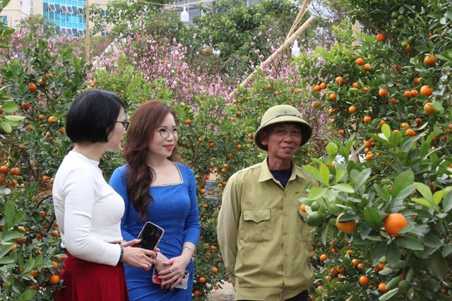 Thành Vinh, Nghệ An rực rỡ sắc xuân, bừng sáng từng góc phố - Ảnh 4