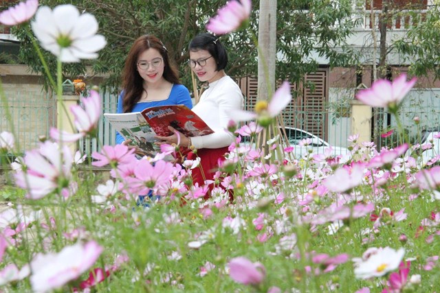 Thành Vinh, Nghệ An rực rỡ sắc xuân, bừng sáng từng góc phố - Ảnh 6