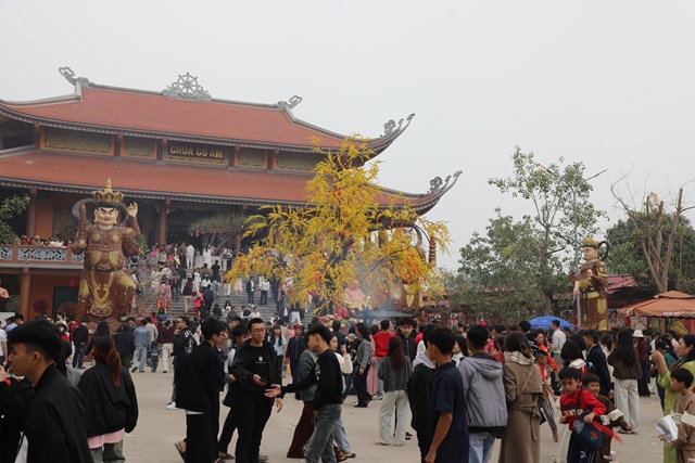 Người d&acirc;n đi lễ ch&ugrave;a Cổ Am