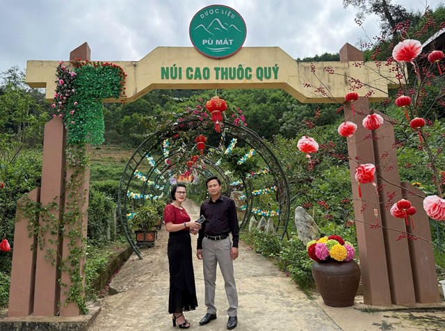 PV trao đổi c&ugrave;ng &ocirc;ng Phan Xu&acirc;n Diện, Gi&aacute;m đốc C&ocirc;ng ty CP Dược liệu P&ugrave; M&aacute;t tr&ecirc;n địa b&agrave;n x&atilde; Con Cu&ocirc;ng, tỉnh Nghệ An, nơi được mệnh danh &ldquo;N&uacute;i cao thuốc q&uacute;y&rdquo;