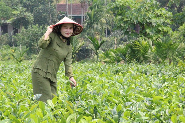 L&ecirc; Thảo My gắn b&oacute; với ch&egrave; bằng niềm đam m&ecirc; v&agrave; cống hiến