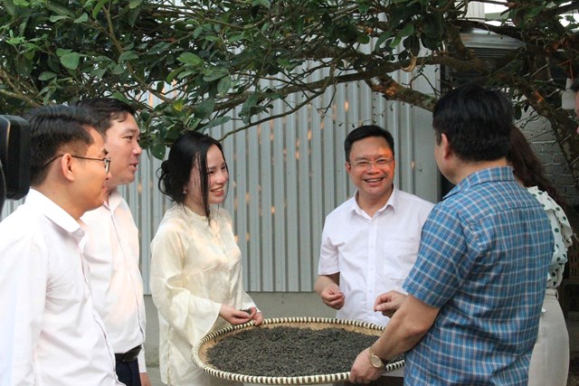 Người trẻ và lựa chọn khác biệt: Gắn bó với cây chè giữa đại ngàn - Ảnh 2