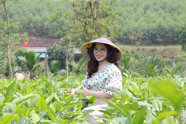 Đến vườn mẫu, du kh&aacute;ch được trải nghiệm h&aacute;i ch&egrave;