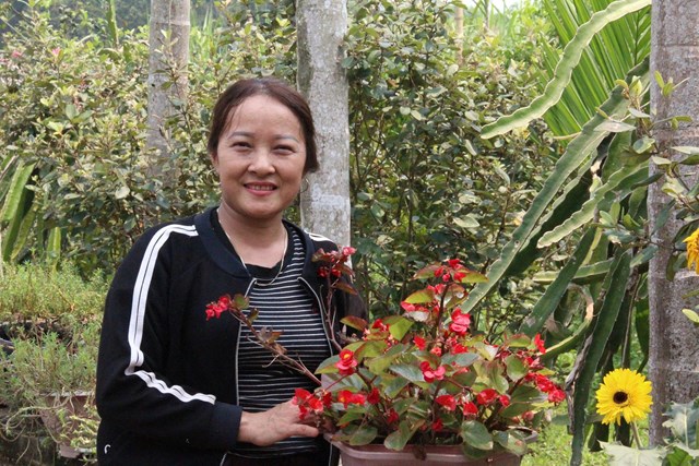 Chị Đặng Thị Hảo chủ vườn ch&egrave; mẫu ở x&atilde; Y&ecirc;n Xu&acirc;n