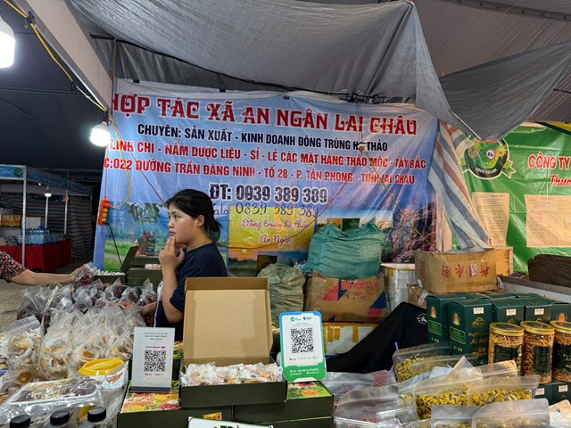 Khai mạc Hội chợ Đặc sản OCOP vùng miền Nghệ An 2026  - Ảnh 4