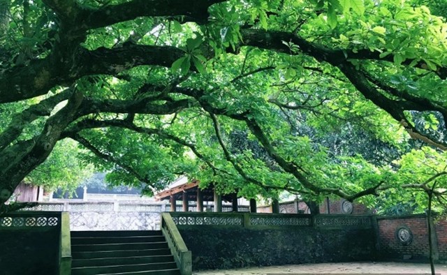 Ng&ocirc;i ch&ugrave;a cổ k&iacute;nh tr&ecirc;n đảo Song Ngư, điểm du lịch t&acirc;m linh của Cửa L&ograve;