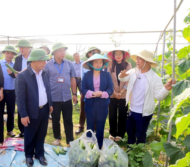 B&agrave; Nguyễn Thị Tuyết, Ph&oacute; Chủ tịch UBND x&atilde; Hưng Nguy&ecirc;n Nam, đ&aacute;nh gi&aacute; c&aacute;c m&ocirc; h&igrave;nh đ&atilde; tạo ra hiệu quả k&eacute;p khi vừa mang lại thu nhập cho người sản xuất, vừa tạo việc l&agrave;m, h&igrave;nh th&agrave;nh c&aacute;c chuỗi li&ecirc;n kết sản xuất, ti&ecirc;u thụ sản phẩm v&agrave; khai th&aacute;c hiệu quả tiềm năng đất đai