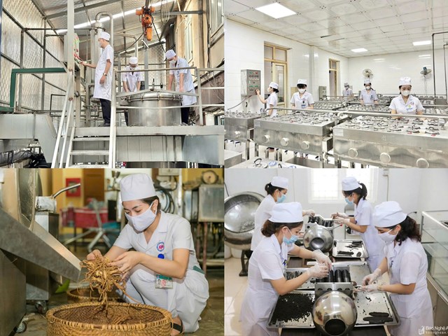 Nghệ An: Y học cổ truyền kết hợp công nghệ hiện đại phục vụ người bệnh ngày càng tốt hơn - Ảnh 3