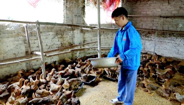 Ho&agrave;ng Kim Vị tại gia trại của m&igrave;nh ở qu&ecirc; nh&agrave;