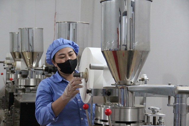 Hệ thống máy móc tiên tiến góp phần nâng cao năng suất và chất lượng sản phẩm dược liệu