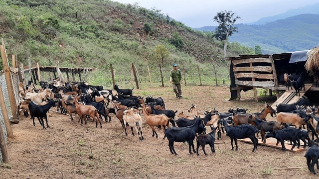 Hộ &ocirc;ng Moong Ph&ograve; Ngọc ở bản Kh&aacute;nh Th&agrave;nh, x&atilde; Nậm Cắn, huyện Kỳ Sơn cũ l&agrave; một v&iacute; dụ đối với người d&acirc;n v&ugrave;ng cao, v&ugrave;ng s&acirc;u v&ugrave;ng xa của tỉnh Nghệ An