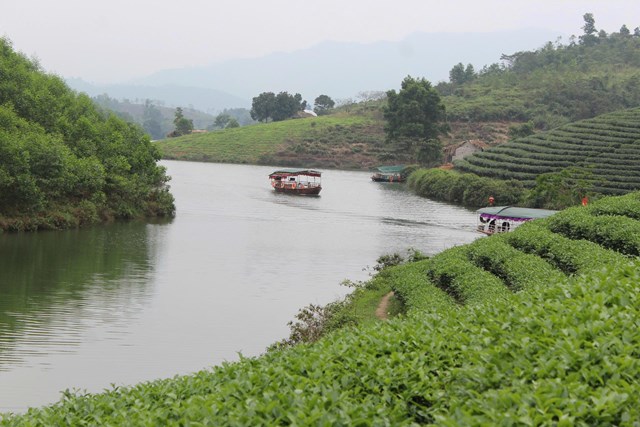 Ph&aacute;t triển du lịch đồi ch&egrave; ở Thanh Chương