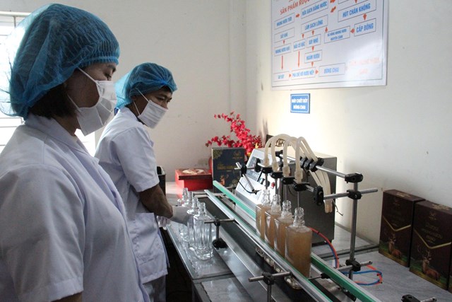 D&acirc;y chuyền đ&oacute;ng chai tự động