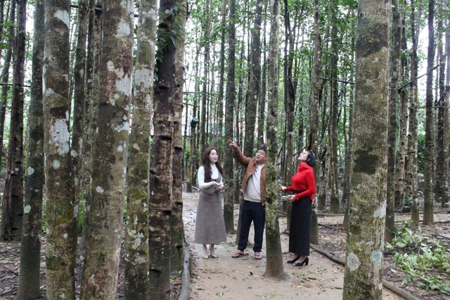 Nguyễn Ch&iacute; Th&agrave;nh, chủ Cơ sở sản xuất trầm hương Đinh Gia, x&atilde; Ph&uacute;c Trạch giới thiệu vườn c&acirc;y trầm hương đ&atilde; cho sản phẩm OCOP 4 sao