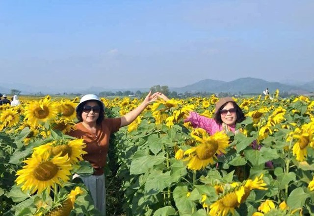 Kh&ocirc;ng chỉ giới trẻ, c&aacute;c lứa tuổi du kh&aacute;ch đến với đồi hoa hướng dương đều ngập trong khung cảnh đầy thư gi&atilde;n của kh&ocirc;ng gian xanh