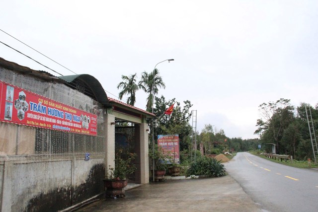 Cơ sở sản xuất, kinh doanh Trầm hương Thọ Nga tại x&oacute;m 8, x&atilde; Ph&uacute;c Trạch, huyện Hương Kh&ecirc; (cũ), tỉnh H&agrave; Tĩnh.