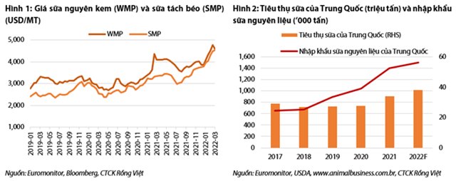 Nguồn: Báo cáo VDSC