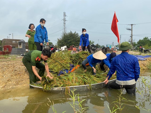 C&#244;ng an huyện Y&#234;n Lạc gi&#250;p d&#226;n thu hoạch hoa m&#224;u v&#224; khắc phục hậu quả mưa lũ - Ảnh 1