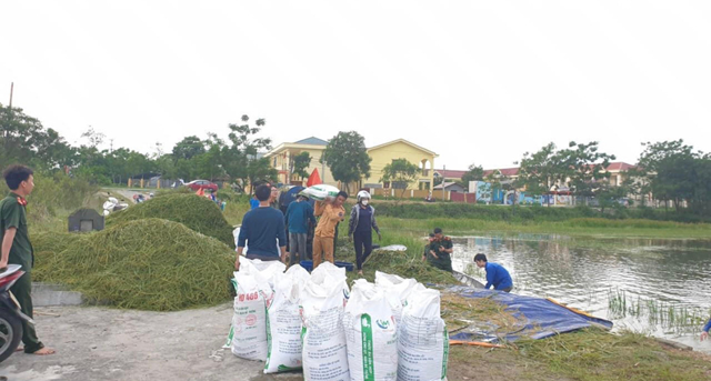 Hỗ trợ nh&acirc;n nh&acirc;n x&atilde; Y&ecirc;n Phương, thị trấn Y&ecirc;n Lạc thu hoạch hoa m&agrave;u.