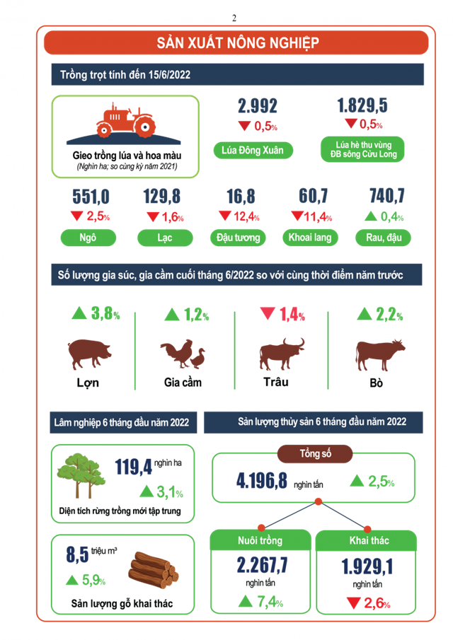 Sản xuất n&ocirc;ng, l&acirc;m nghiệp v&agrave; thủy sản vẫn giữ mức tăng kh&aacute; trong 6 th&aacute;ng đầu năm 2022 &ndash; Nguồn: TCTK.