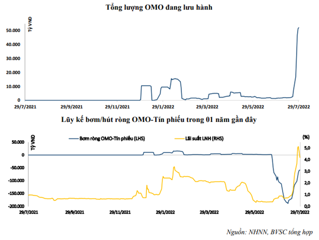 Nguồn: Báo cáo BVSC