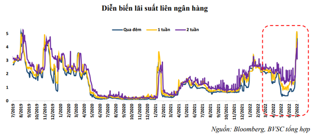 Nguồn: Báo cáo BVSC