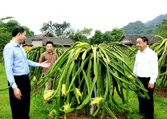 Mô hình nông nghiệp tuần hoàn và kết hợp du lịch sinh thái trải nghiệm nông  nghiệp bền vững  Tuổi Trẻ Online