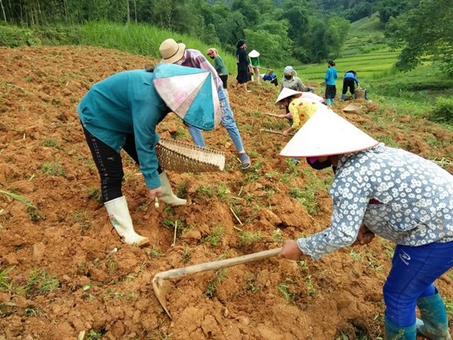 Hội vi&ecirc;n phụ nữ Chi hội th&ocirc;n Th&acirc;m Mang, x&atilde; N&agrave; Khương, huyện Quang B&igrave;nh gi&uacute;p đỡ gia đ&igrave;nh chị L&ugrave; Thị Sinh cải tạo vườn tạp trồng cỏ chăn nu&ocirc;i - Ảnh: Hội LHPN VN.