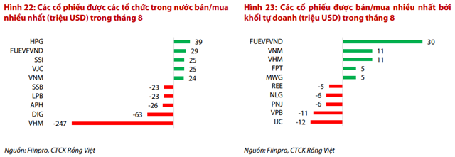 Nguồn: Báo cáo VDSC