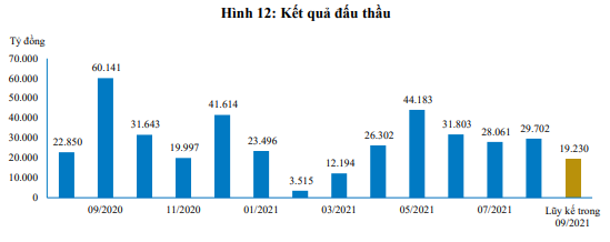 Nguồn: Báo cáo BVSC