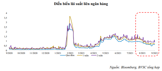 Nguồn: Báo cáo BVSC