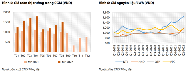 Nguồn: Báo cáo VDSC